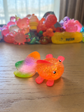 sugar fishy