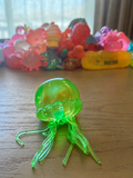 sugar jelly fish