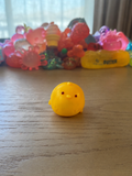 crunchy chick